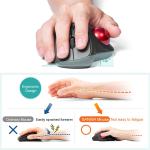 SANWA Bluetooth Ergonomic Trackball Mouse, Optical Vertical Rollerball Mice,